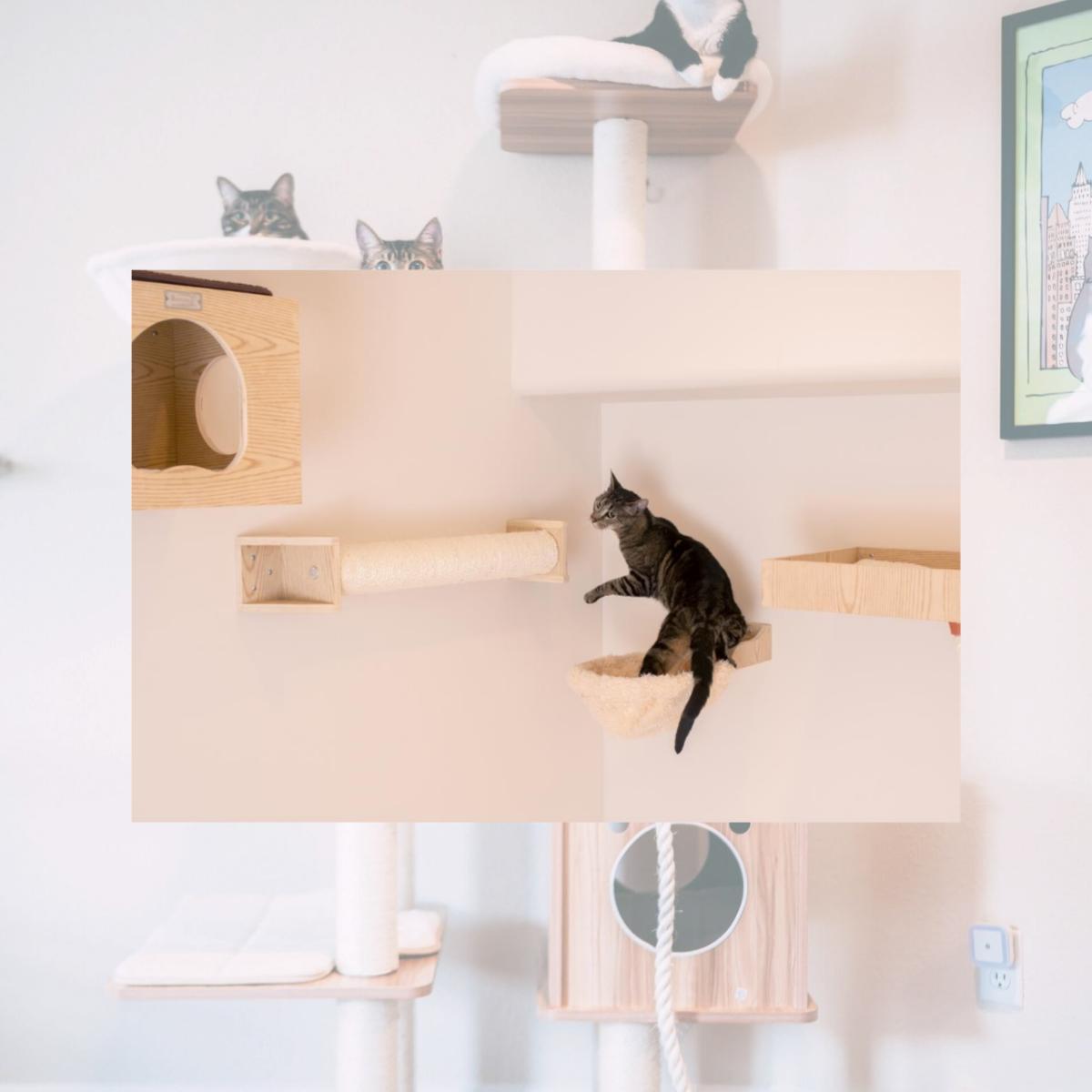 Picture of Armarkat Real Wood Wall Series: Scratching Post W1907D