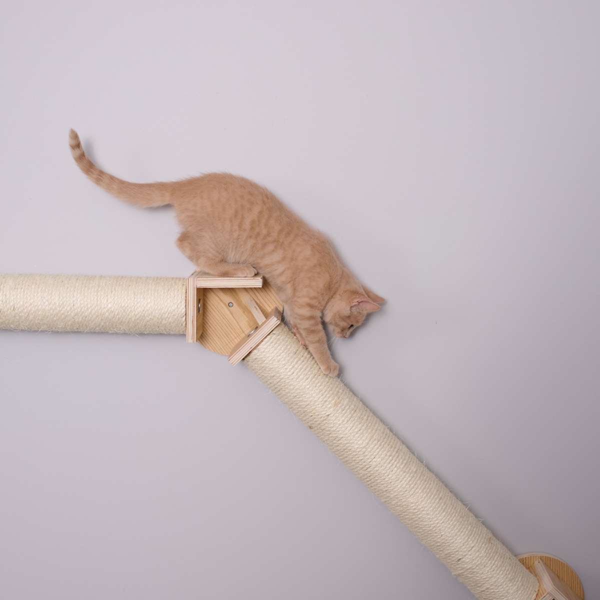 Picture of Armarkat W2307 Armarkat Wall Series Wall Climbing Cat Post Bridge W2307