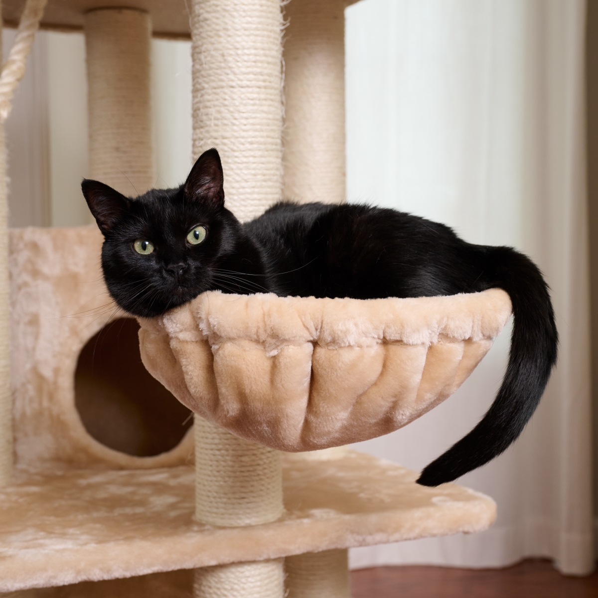 Picture of Armarkat A8402 Armarkat Royal Perch Cat Mansion Tree A8402