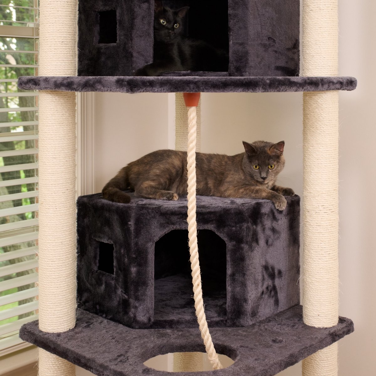 Picture of Armarkat A8202 82 Inches Multi-Level Big Cat Tree. Tall Multi-Cats Tower with 2 Big Cat Condos A8202
