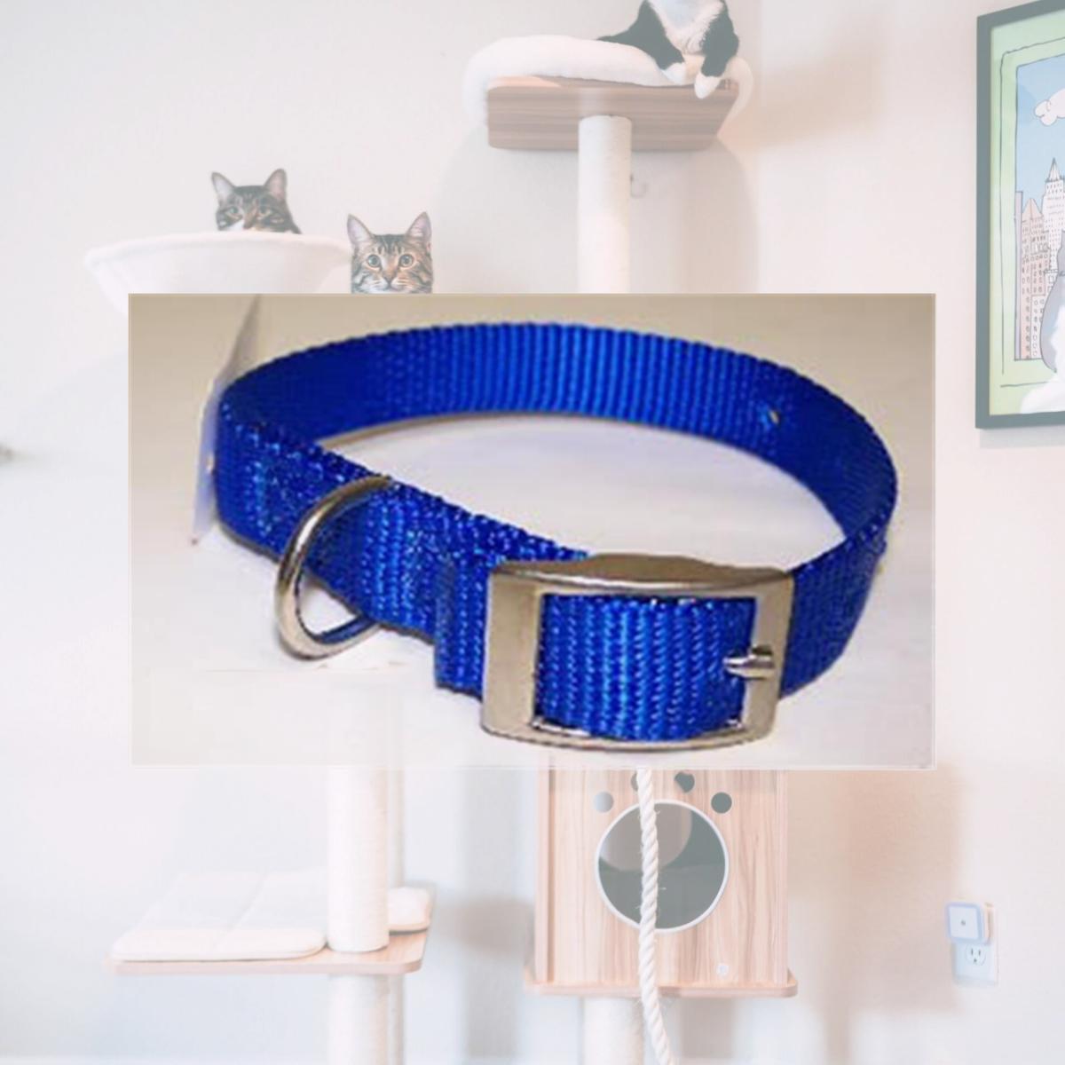 Picture of Omni Pet 445-10307 Omni Pet No.103N BL12 Nylon Collar .62X12in Blue