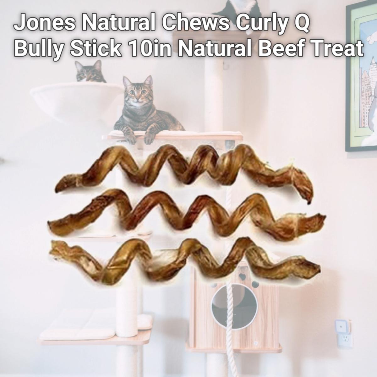 Picture of Jones Natural Chews Co. 090-02701 Jones Natural Chews Curly Q Bully Stick 10in Natural Beef Treat