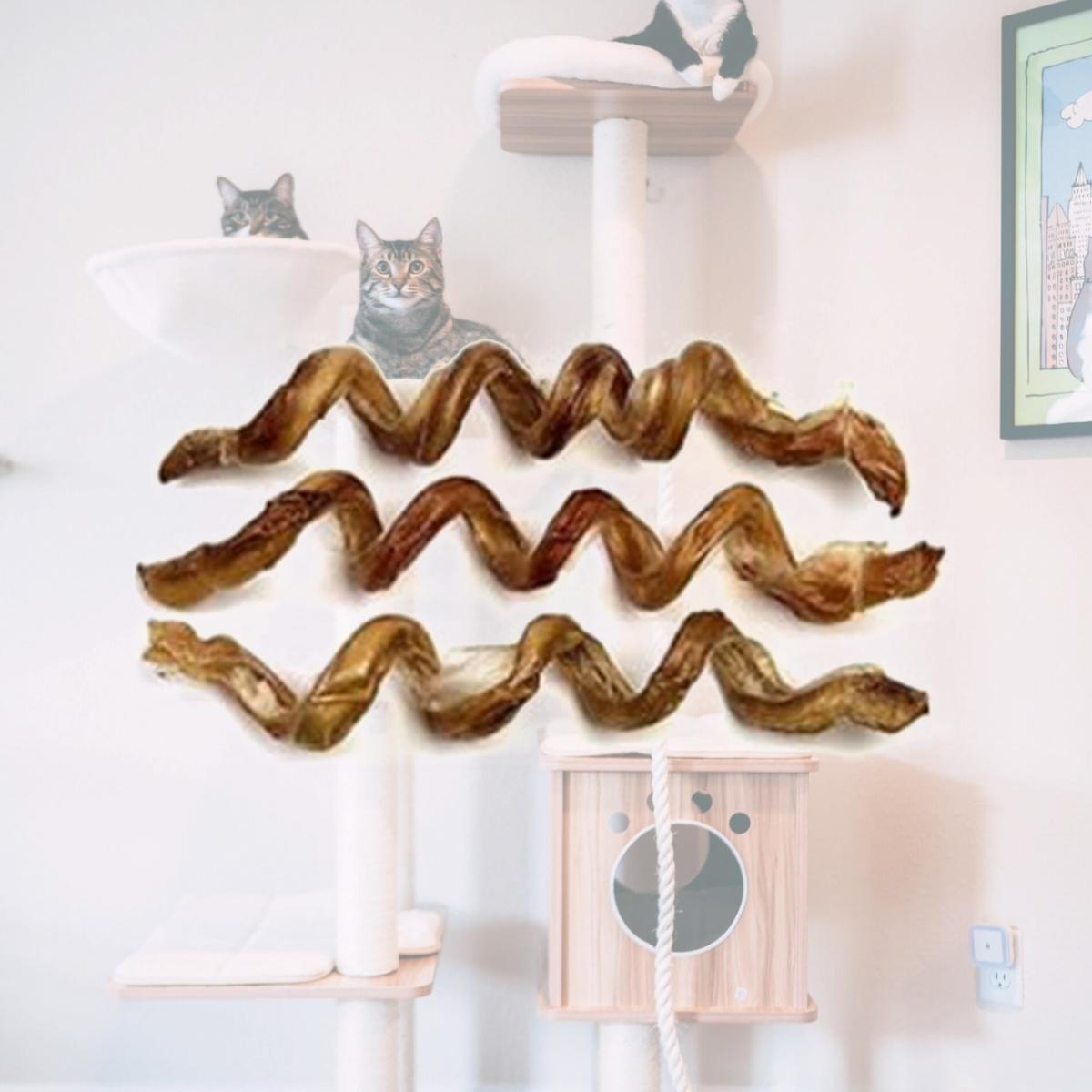Picture of Jones Natural Chews Co. 090-02701 Jones Natural Chews Curly Q Bully Stick 10in Natural Beef Treat