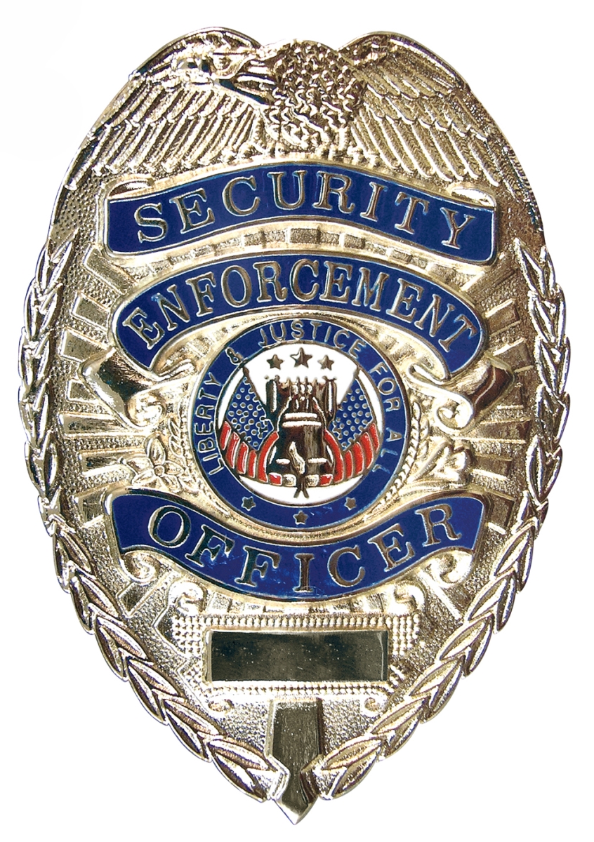 883 Deluxe Security Enforcement Officer Decal, Silver