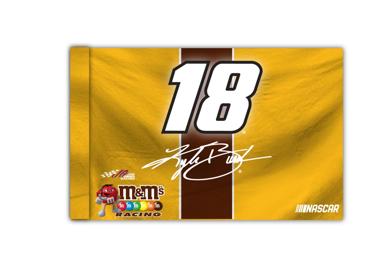 Picture of R & R Imports FLG-N-KYB20 3 x 5 in. Kyle Busch No.20 Flag