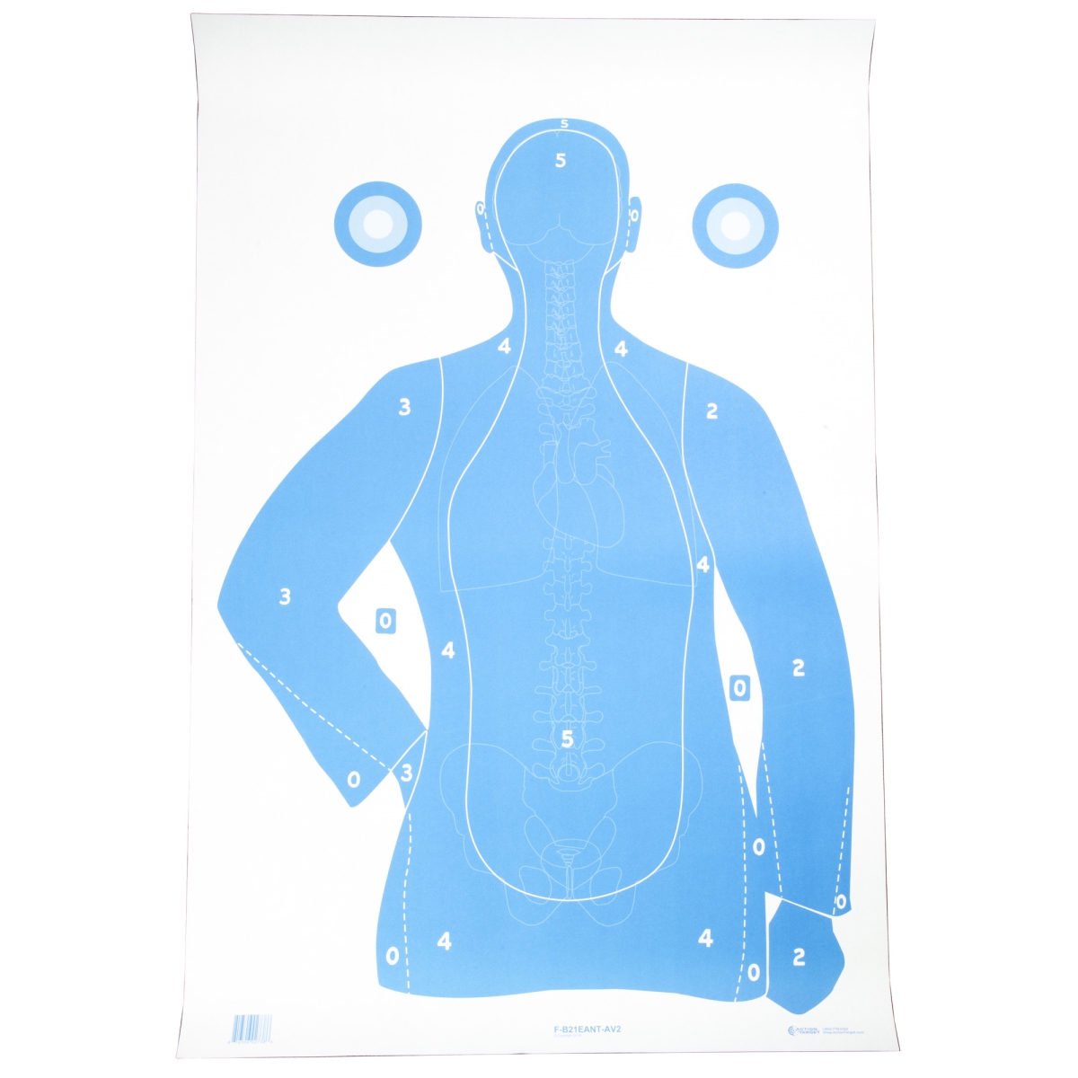 F-B21EANT-AV2-100 B-21E Qualification Target - Blue & White - 100 Per Box