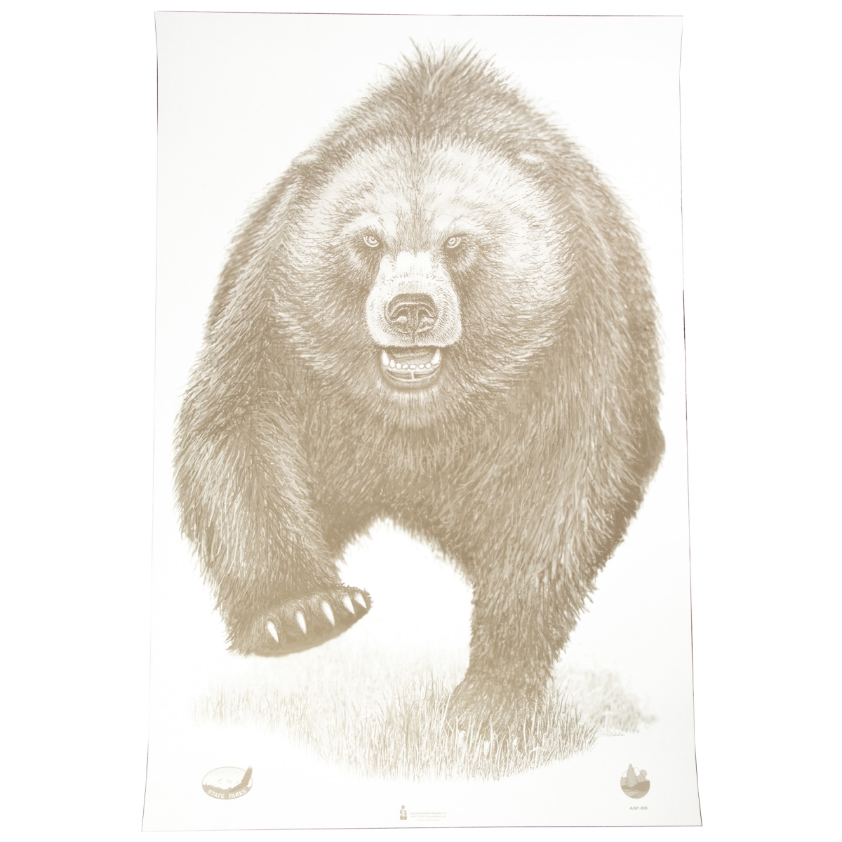 ASP-BB-100 23 x 35 in. Alaska State Parks Bear Target - 100 Per Box