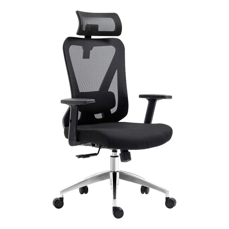 Picture of Techni Mobili RTA-3265C-BK Truly Ergonomic Mesh Office Chair with Headrest & Lumbar Support&#44; Black