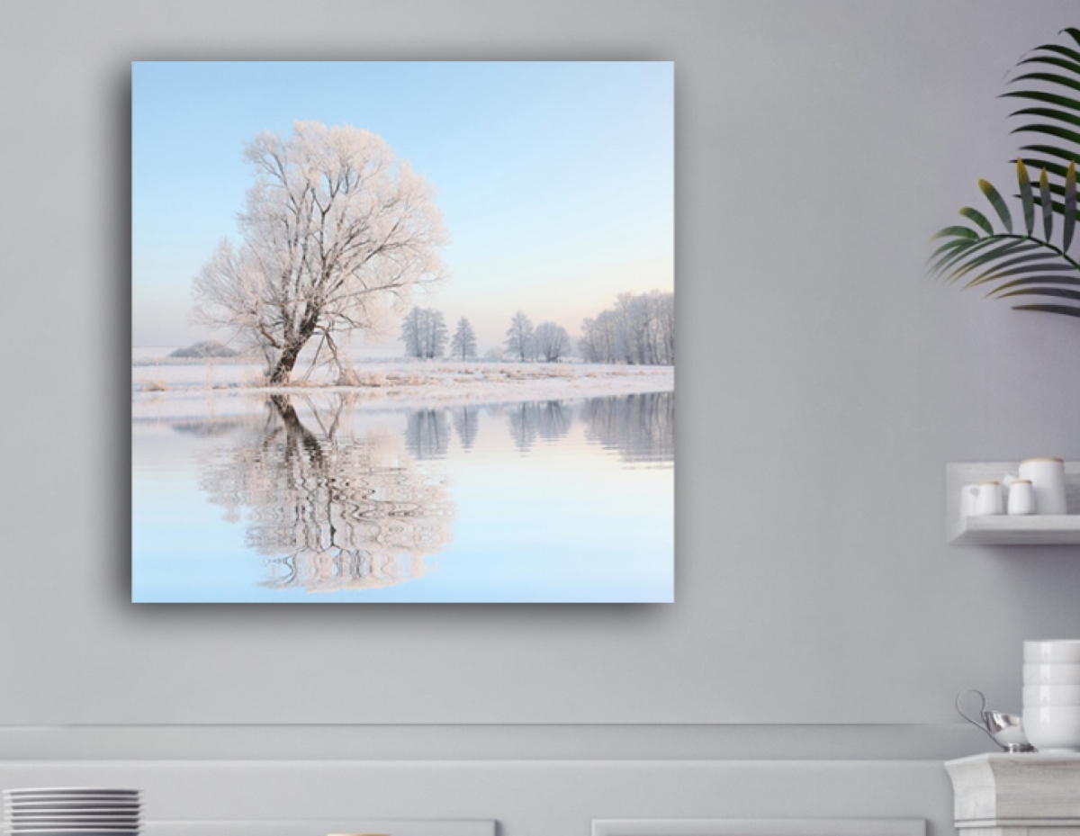 Picture of Artful Printers C-16161923 Bent Reflection Winter Canvas Art&#44; 16 x 16 in.