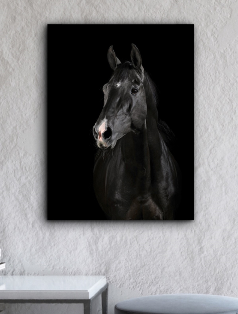Picture of Artful Printers C-16201928 Black Horse Face Canvas Art&#44; 16 x 20 in.