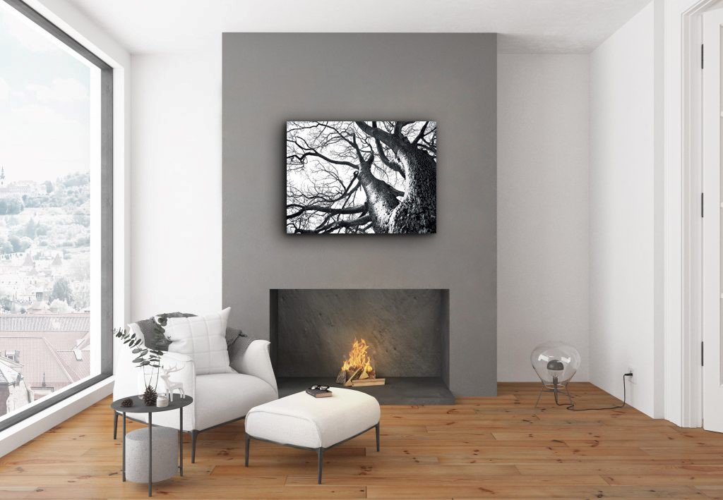 Deer Tree Nature Canvas Art, 30 x 40 in.