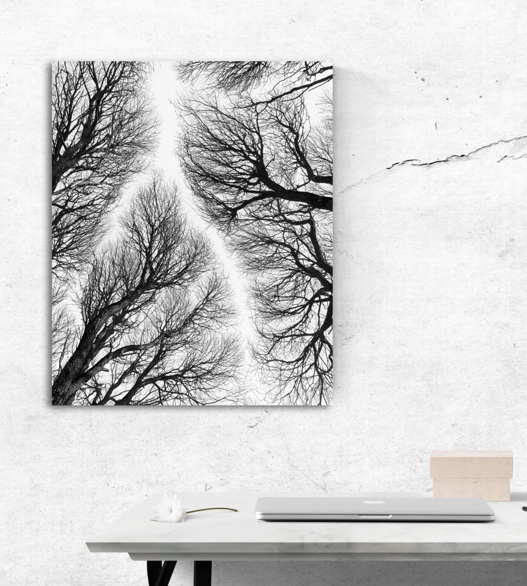 Branch Detour Nature Canvas Art, 24 x 36 in.