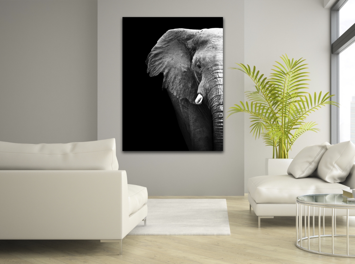 Picture of Artful Printers C-16201968 Elephant Profile Photography Canvas Art, 16 x 20 in.