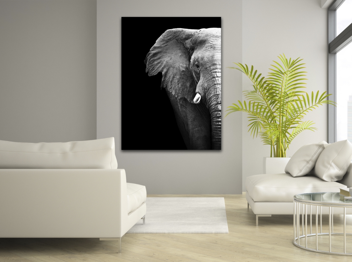 Elephant Profile Photography Canvas Art, 24 x 36 in.