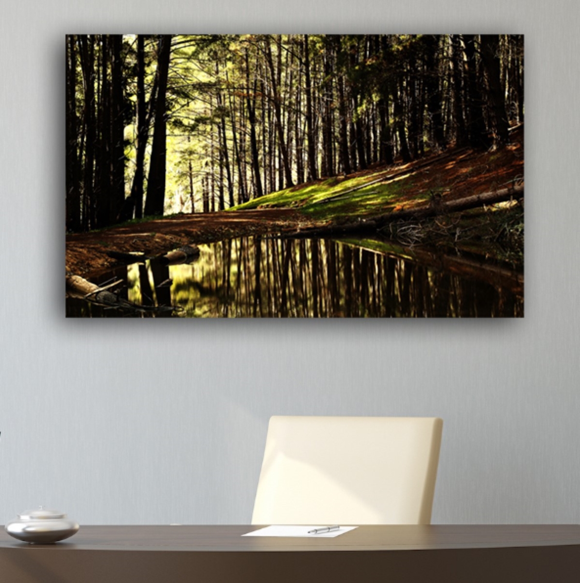 Picture of Artful Printers C-16201994 Into The Forest Nature Photography Canvas Art&#44; 16 x 20 in.