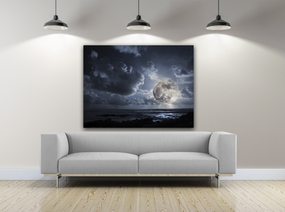 Moonlight Flairs Photography Canvas Art, 24 x 36 in.