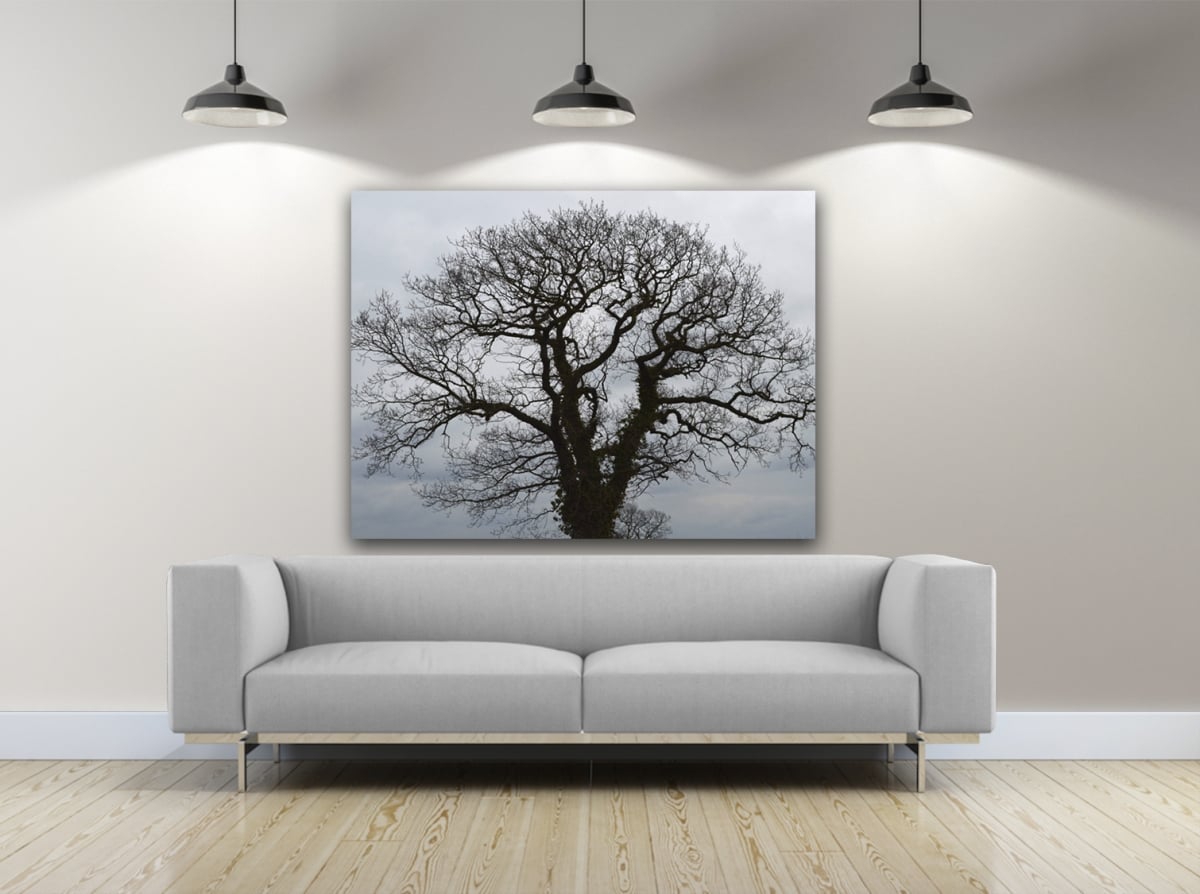 New Beginning Photography Canvas Art, 20 x 30 in.
