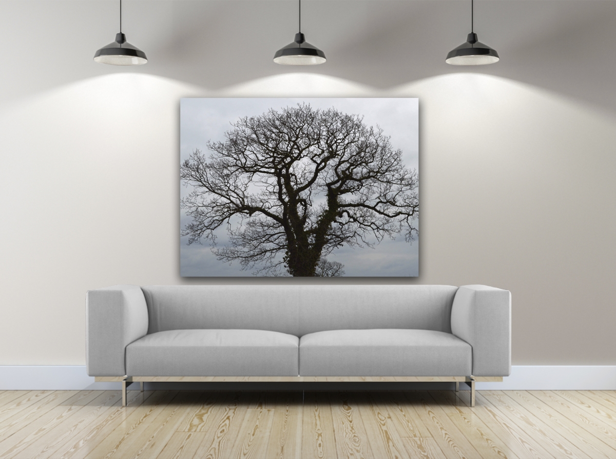 New Beginning Photography Canvas Art, 24 x 36 in.