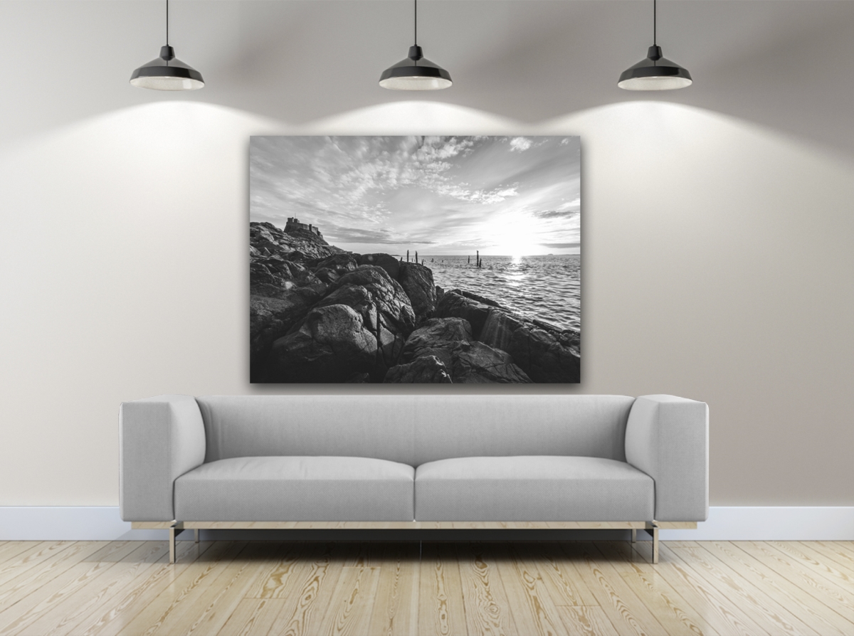 On The Rocks Photography Canvas Art, 30 x 40 in.