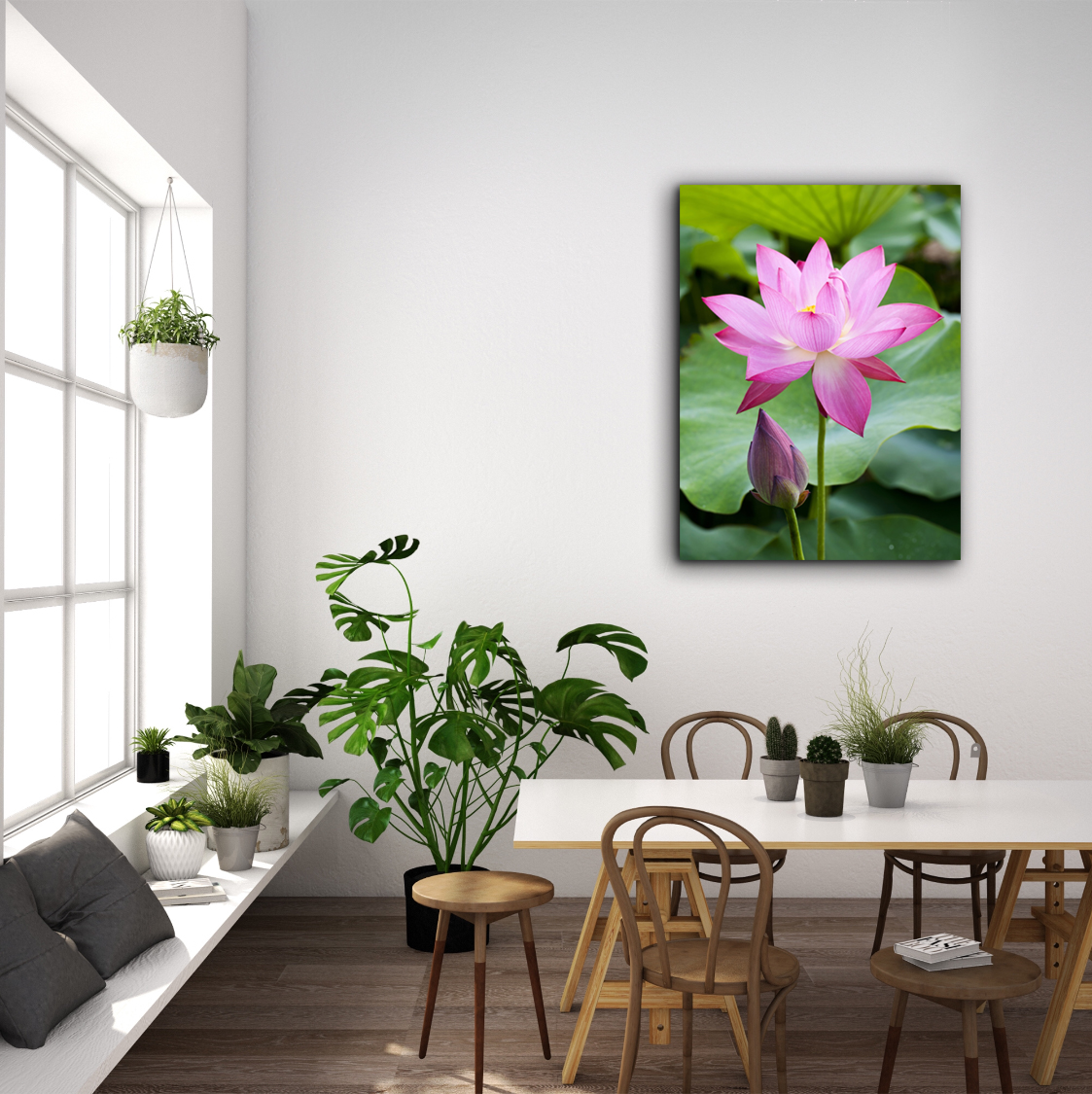 Picture of Artful Printers C-16202042 Purple Lotus Flower Photography Canvas Art&#44; 16 x 20 in.
