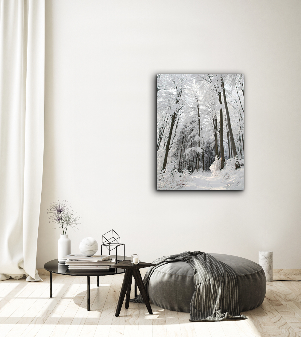 Snowy Path Photography Canvas Art, 30 x 40 in.