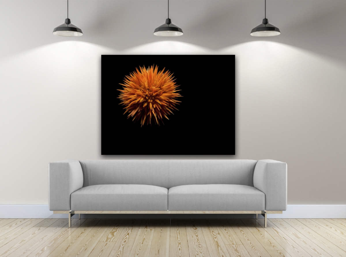 Spikeball Photography Canvas Art, 20 x 30 in -  Perspectiva, PE3175900