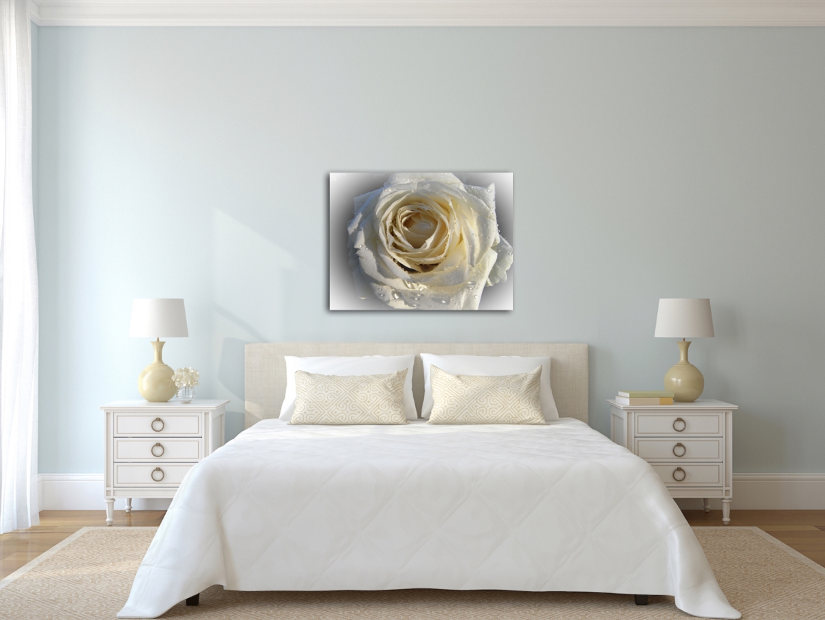 Wet White Rose Photography Canvas Art, 20 x 30 in.