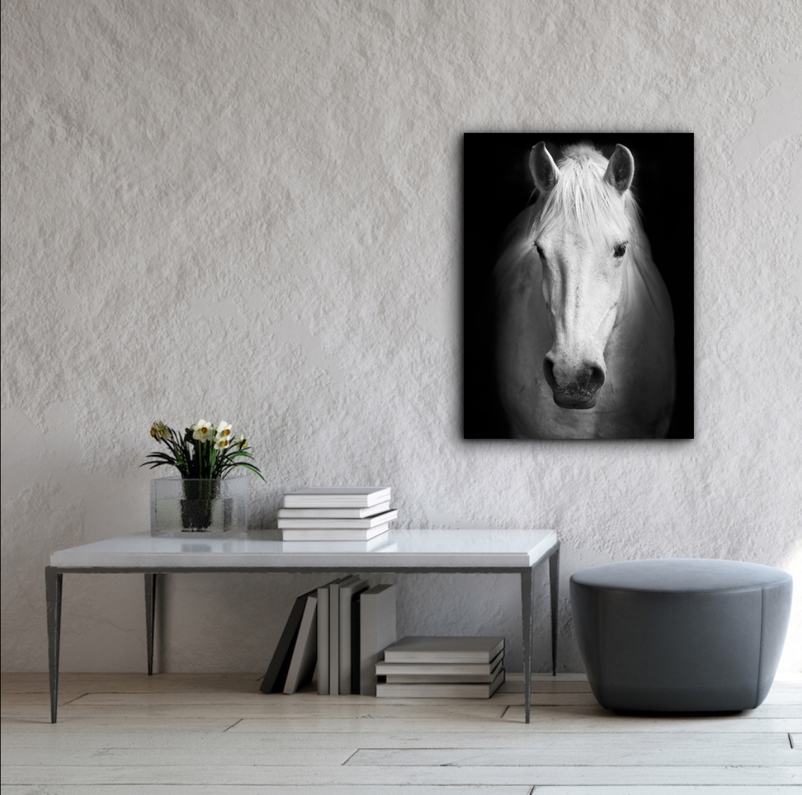 White Horse Face Photography Canvas Art, 20 x 30 in.