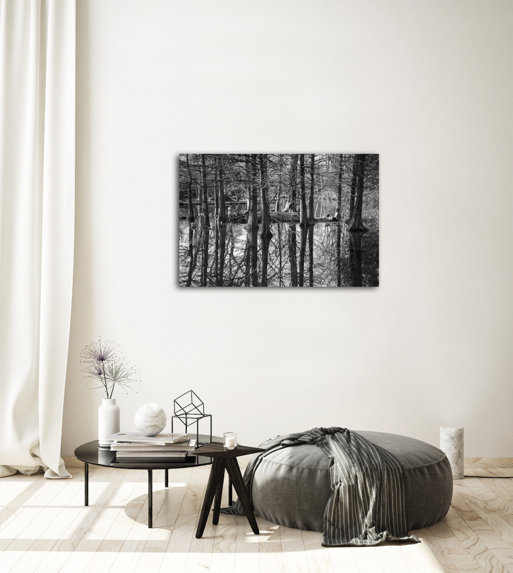 Winter Swamp Photography Canvas Art, 20 x 30 in.