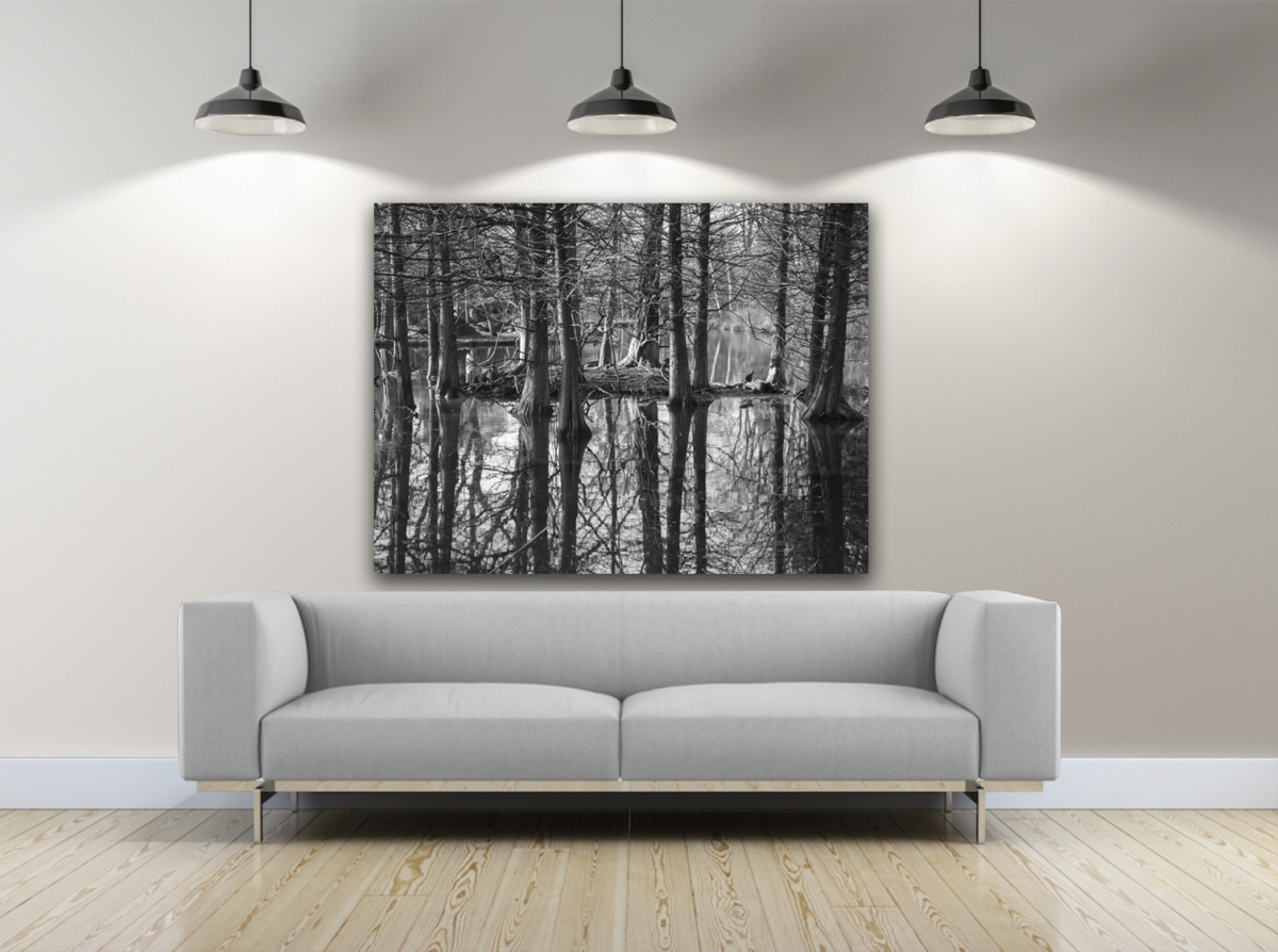 Winter Swamp Photography Canvas Art, 24 x 36 in.