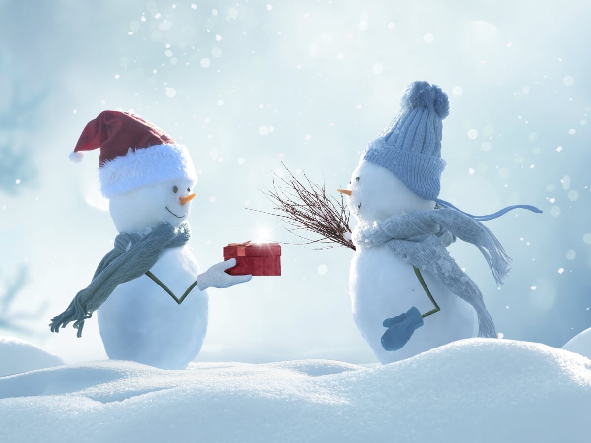for You Holiday Canvas Art, 20 x 30 in.