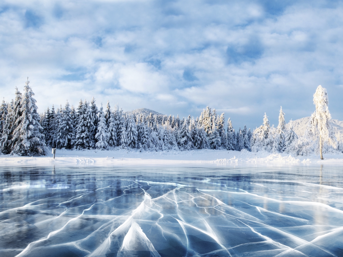 Frozen Lake Holiday Canvas Art, 20 x 30 in.