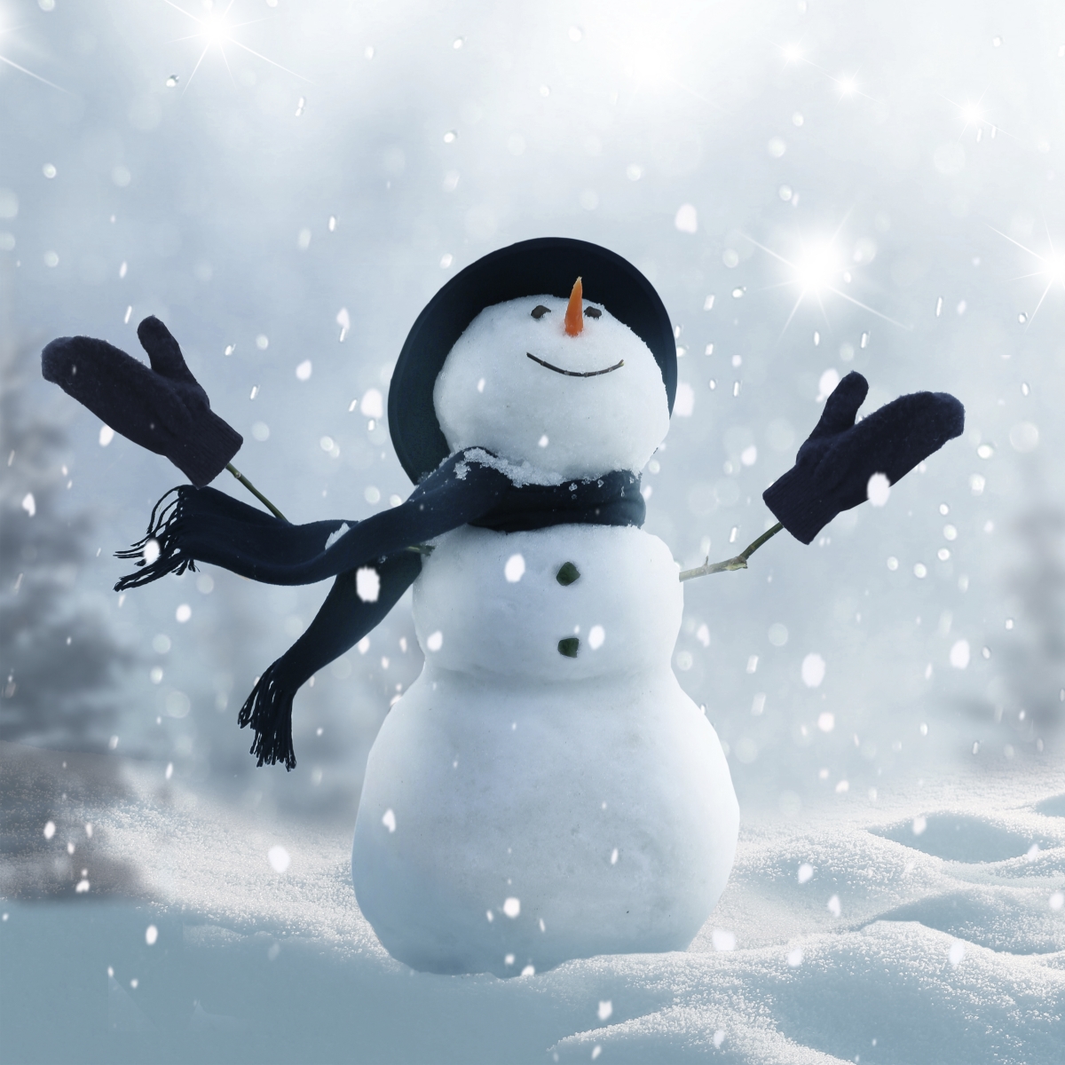 Its Snowing Holiday Canvas Art, 24 x 24 in.