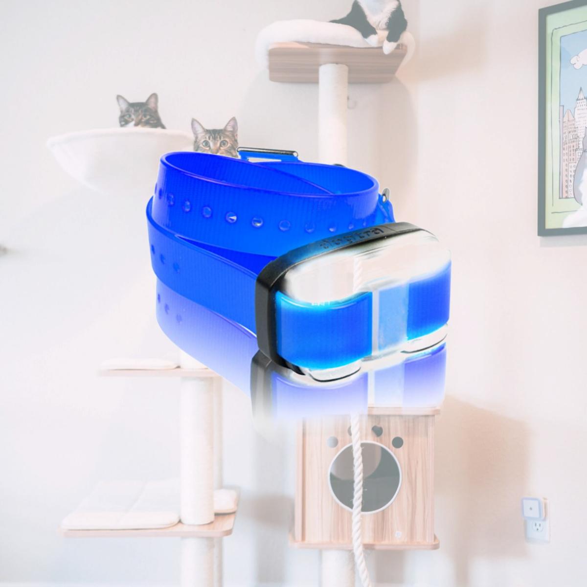 Picture of Grain Valley Dog Supply Edge-RX-Blue Edge Extra Receiver - Blue