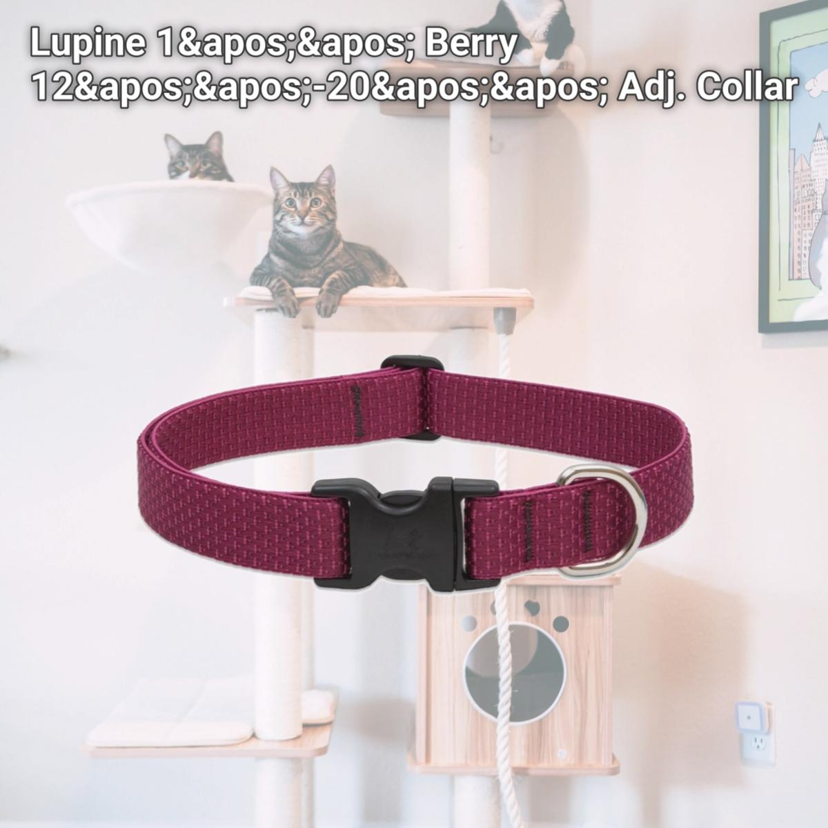 Picture of Lupine 1&apos;&apos; Berry 12&apos;&apos;-20&apos;&apos; Adj. Collar