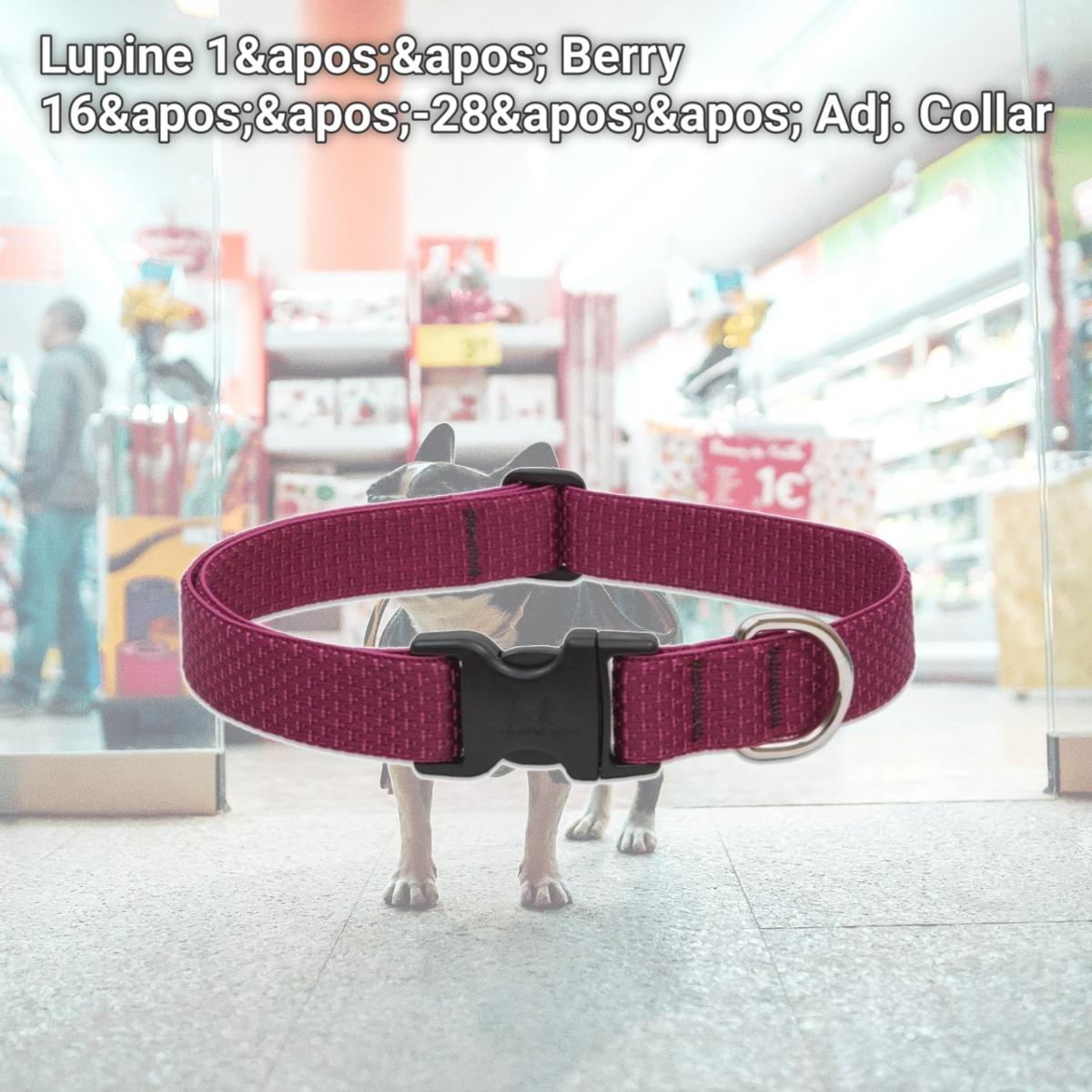 Picture of Lupine 1&apos;&apos; Berry 16&apos;&apos;-28&apos;&apos; Adj. Collar