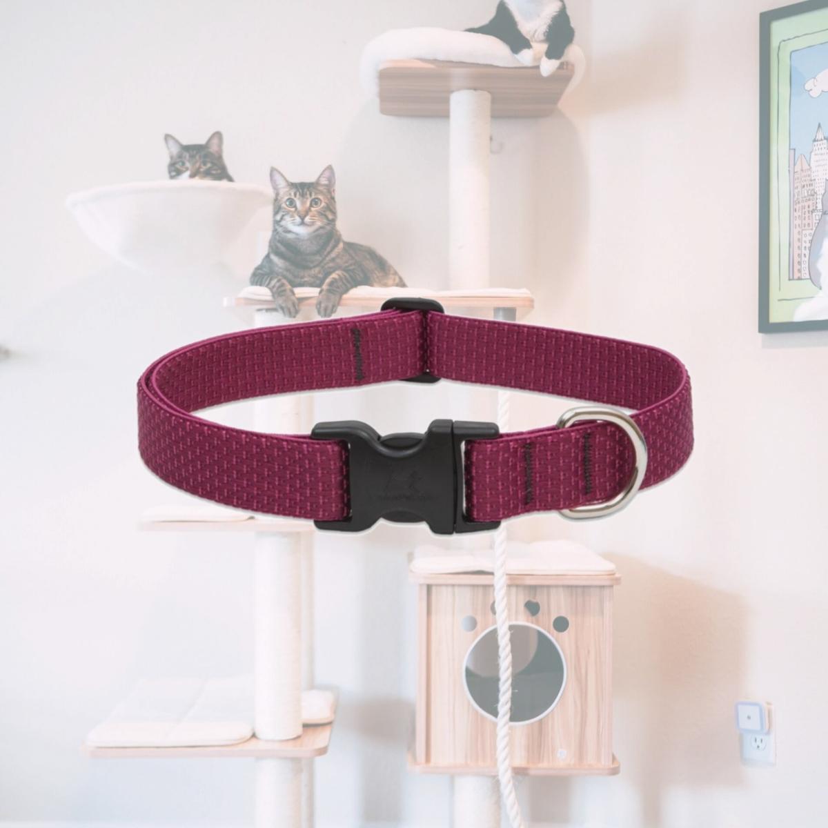 Picture of Lupine 1&apos;&apos; Berry 16&apos;&apos;-28&apos;&apos; Adj. Collar