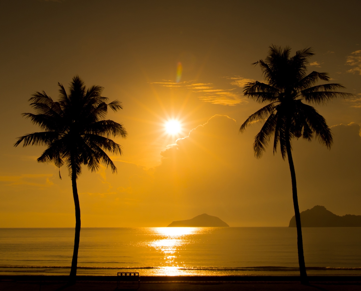 Picture of AFD Home 12015497 48 x 60 in. Two Palm Trees Sunset Tropical Beach Art