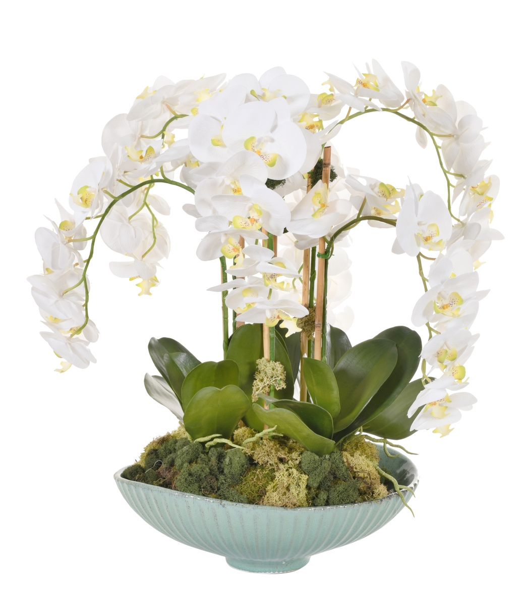 Picture of AFD Home 12023847 No.8 Orchid Arrangement