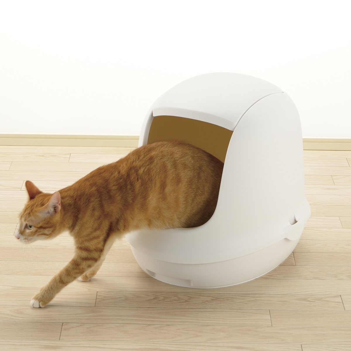 Picture of Richell 60026 PAW TRAX Dome Hooded Cat Litter Box - White