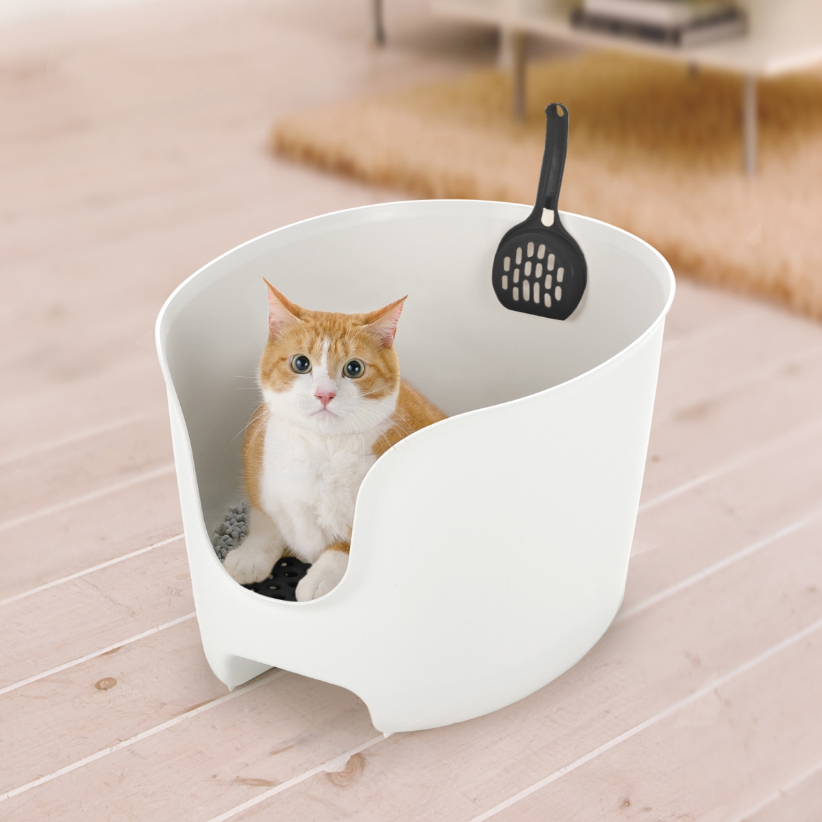 Picture of Richell 60021 PAW TRAX High Wall Cat Litter Box - White/Black