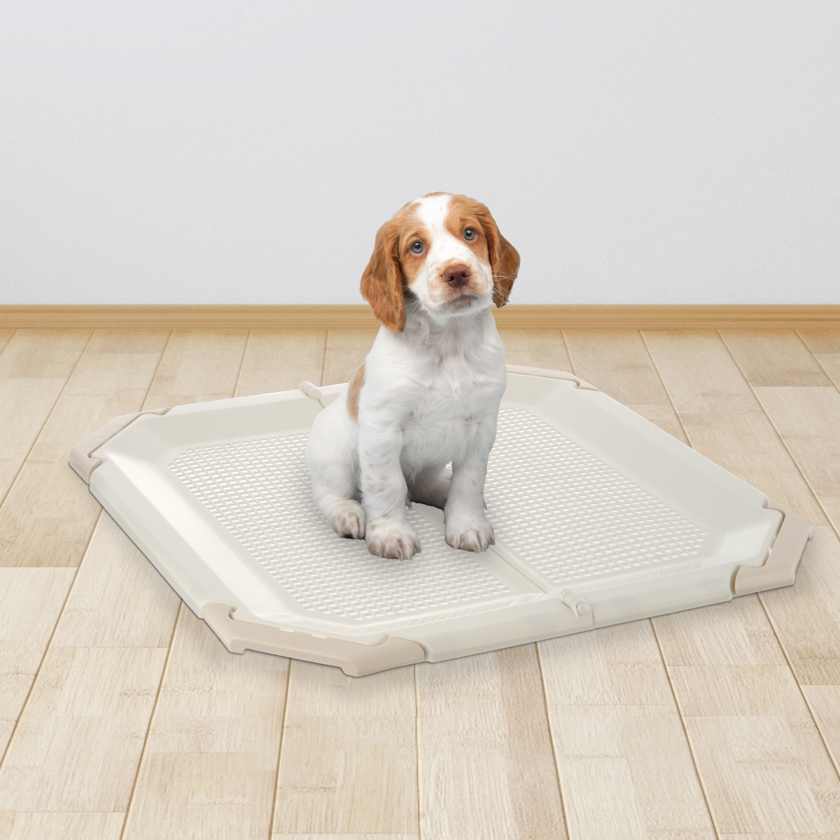 Picture of Richell 60015 PAW TRAX Mesh Potty Holder Ivory
