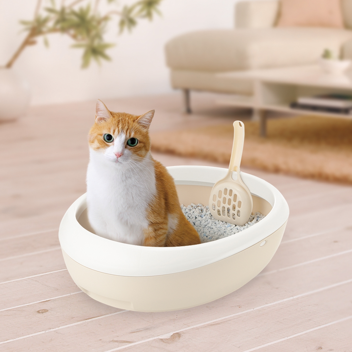 Picture of Richell 60008 PAW TRAX Top Open Cat Litter Pan - White
