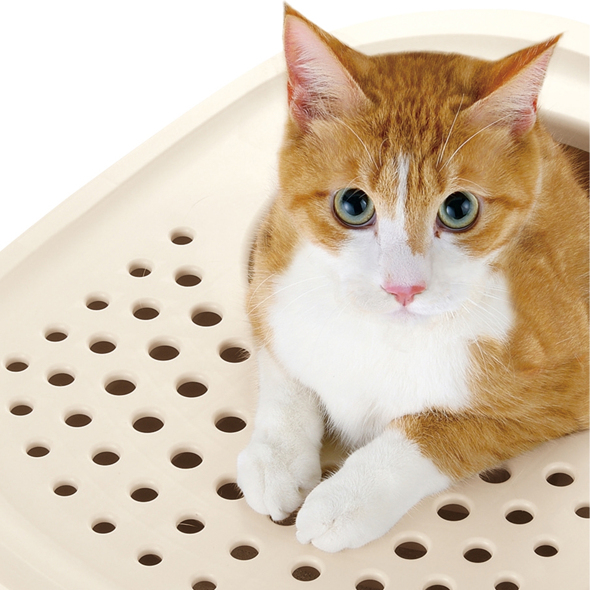 Picture of Richell 60005 PAW TRAX Top Entry Cat Litter Box - White