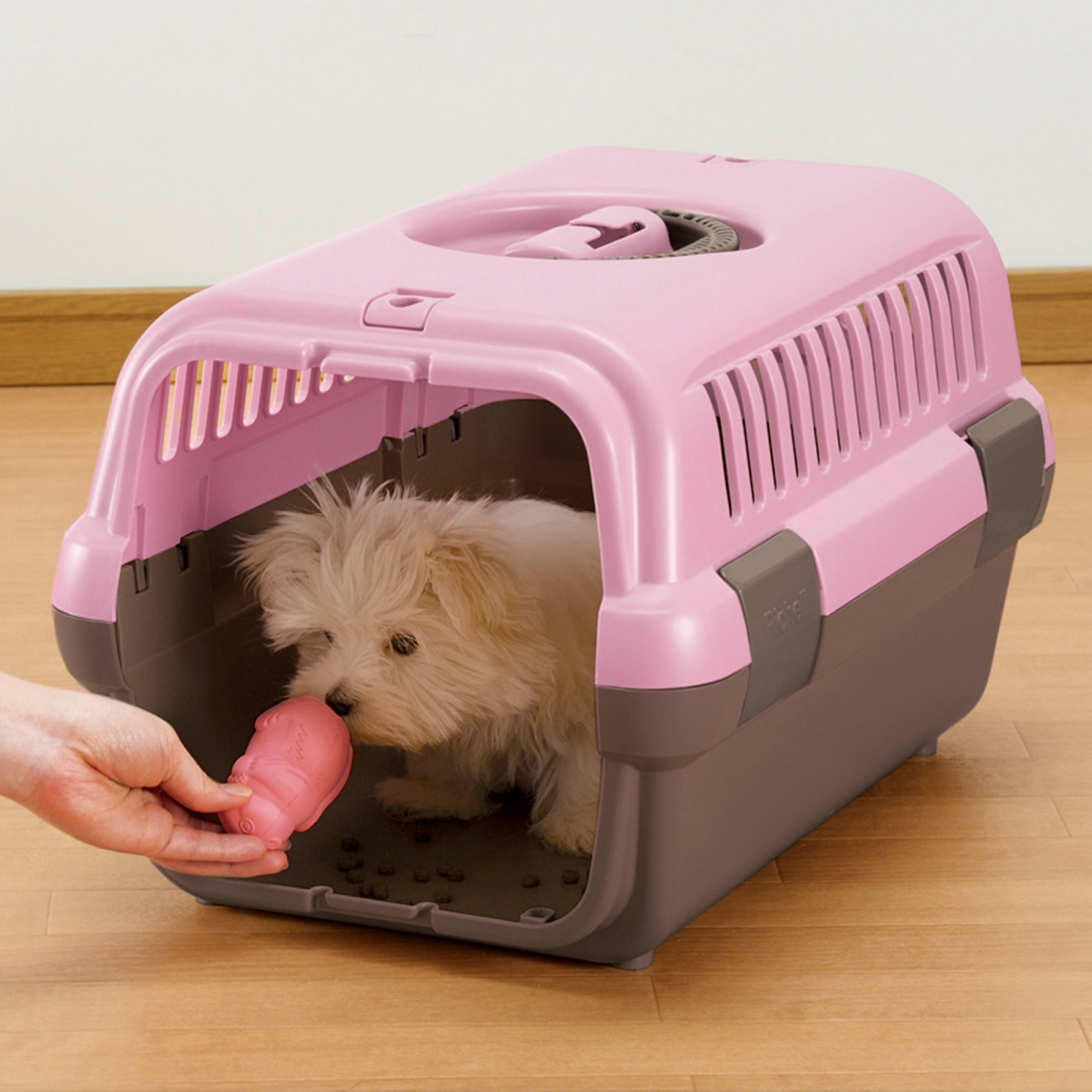 Picture of Richell 80059 Pet Travel Carrier II Small