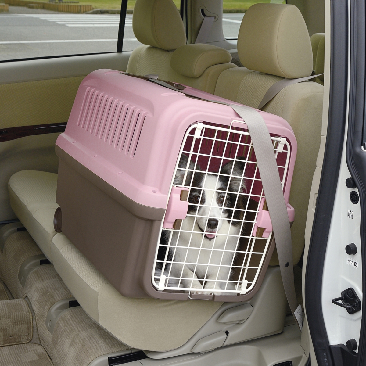 Picture of Richell 80032 E-Z Mobile Pet Carrier S/M