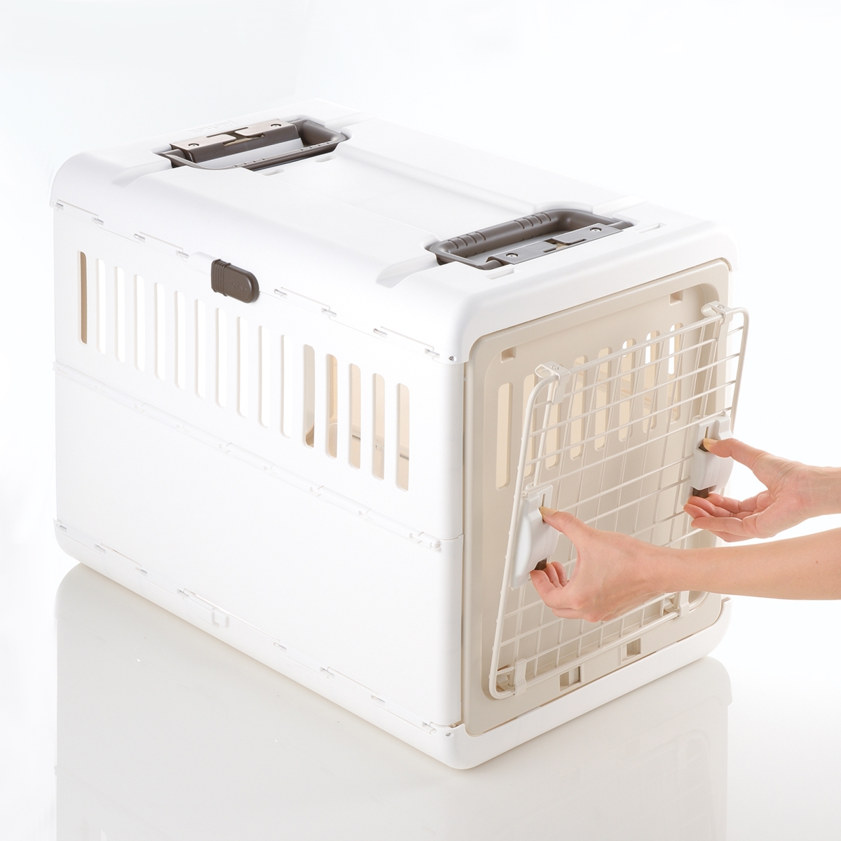 Picture of Richell 80051 Foldable Pet Carrier Medium