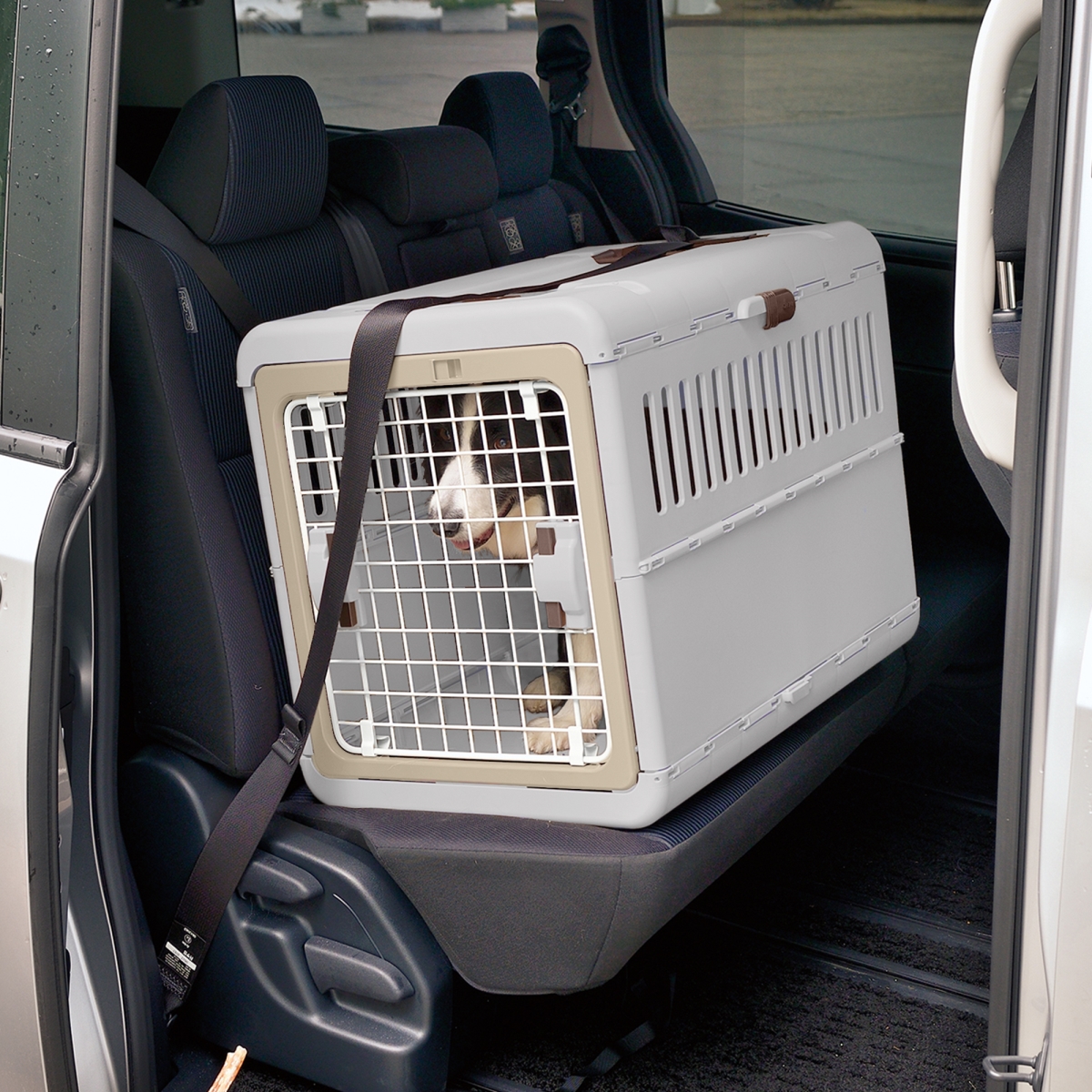 Picture of Richell 80051 Foldable Pet Carrier Medium