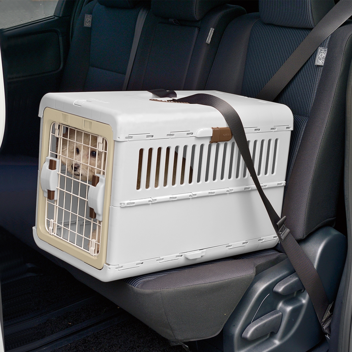 Picture of Richell 80048 Foldable Pet Carrier Small