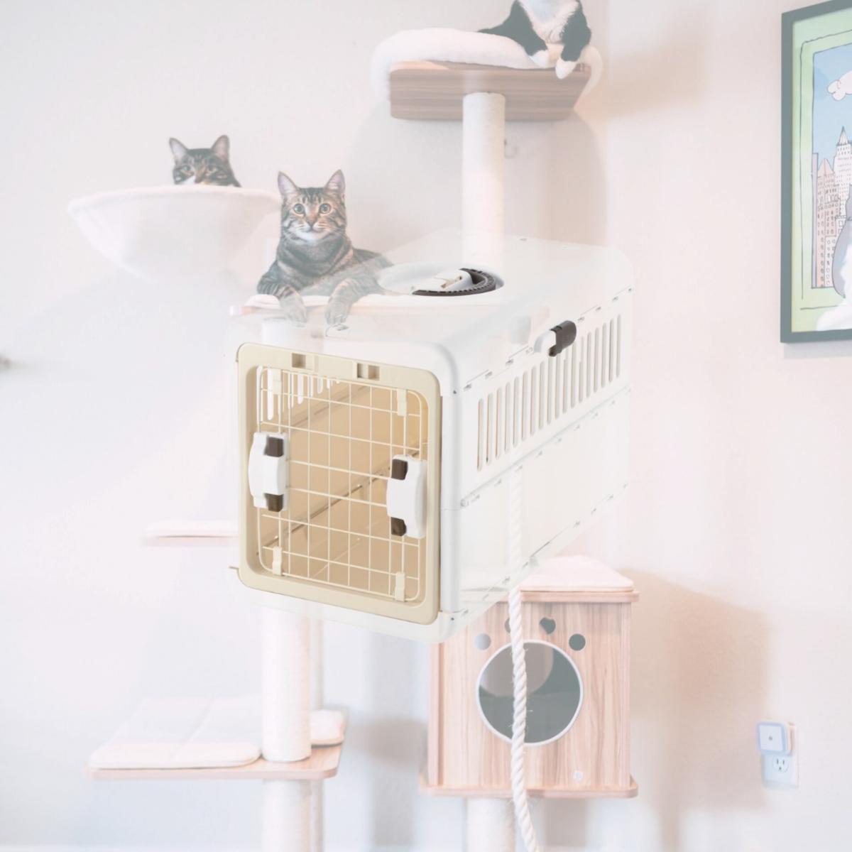 Picture of Richell 80048 Foldable Pet Carrier Small
